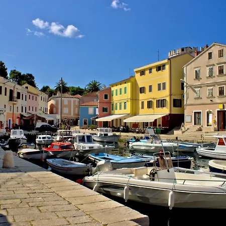 In With Terrace, Air Conditioning, Wifi, Washing Machine 4913-1 Mali Lošinj