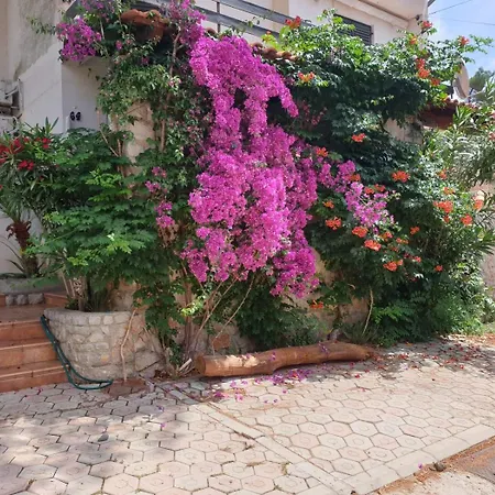 In With Terrace, Air Conditioning, Wifi, Washing Machine 4913-1 Апартаменты *