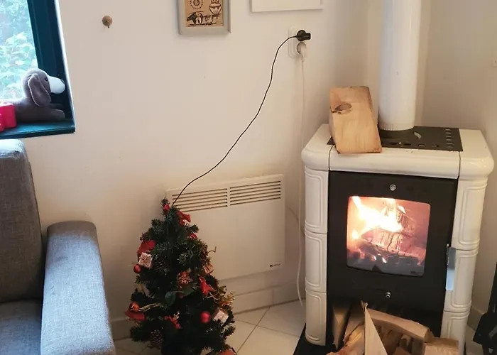 In With Terrace, Air Conditioning, Wifi, Washing Machine 4913-1 Apartamento Mali Lošinj