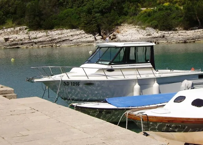 In With Terrace, Air Conditioning, Wifi, Washing Machine 4913-1 Lejlighed Mali Lošinj