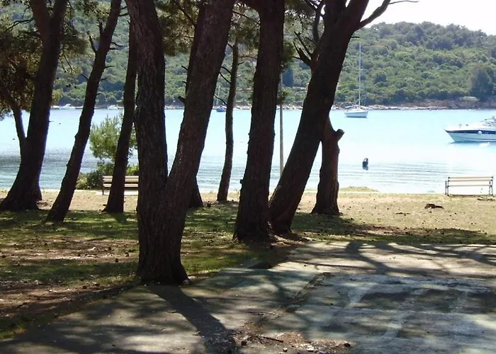 In With Terrace, Air Conditioning, Wifi, Washing Machine 4913-1 Mali Lošinj
