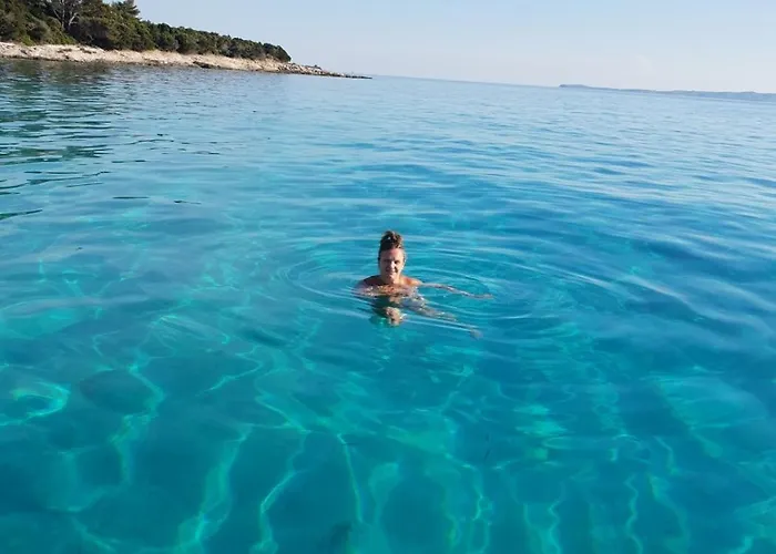 In With Terrace, Air Conditioning, Wifi, Washing Machine 4913-1 * Mali Lošinj