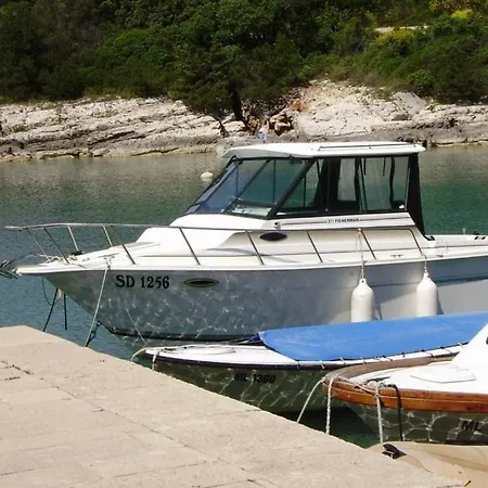In With Terrace, Air Conditioning, Wifi, Washing Machine 4913-1 Apartman Mali Lošinj