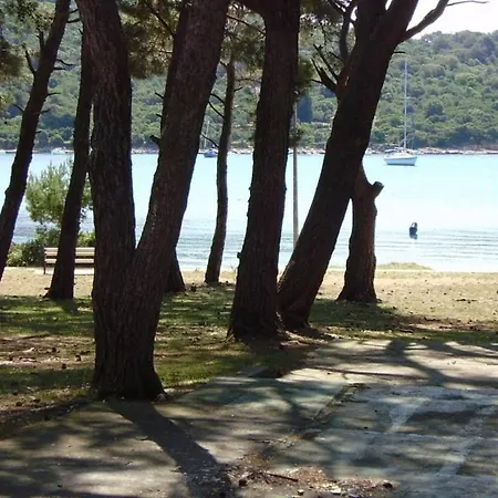 In With Terrace, Air Conditioning, Wifi, Washing Machine 4913-1 Mali Lošinj